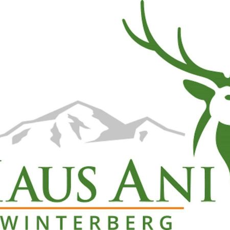 Haus Ani Winterberg Villa Ngoại thất bức ảnh