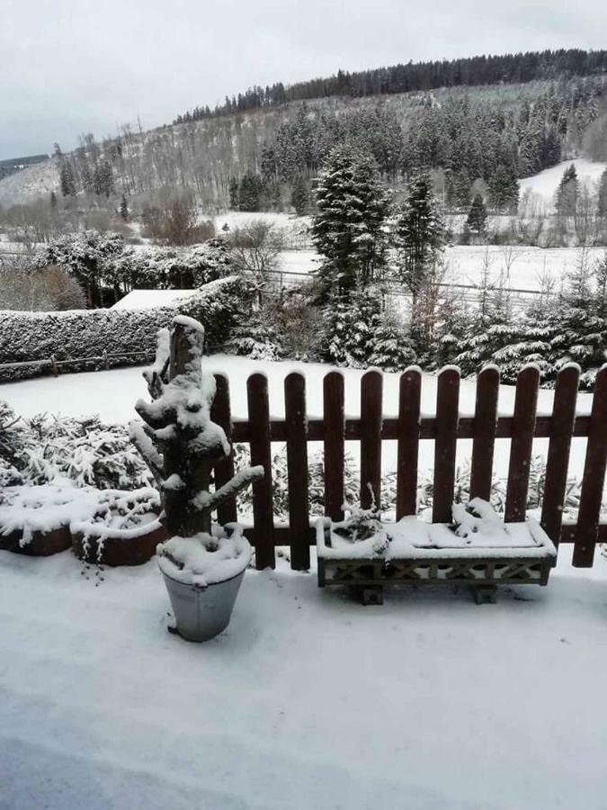Haus Ani Winterberg Villa Ngoại thất bức ảnh