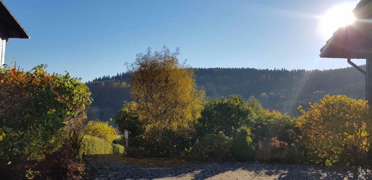 Haus Ani Winterberg Villa Ngoại thất bức ảnh